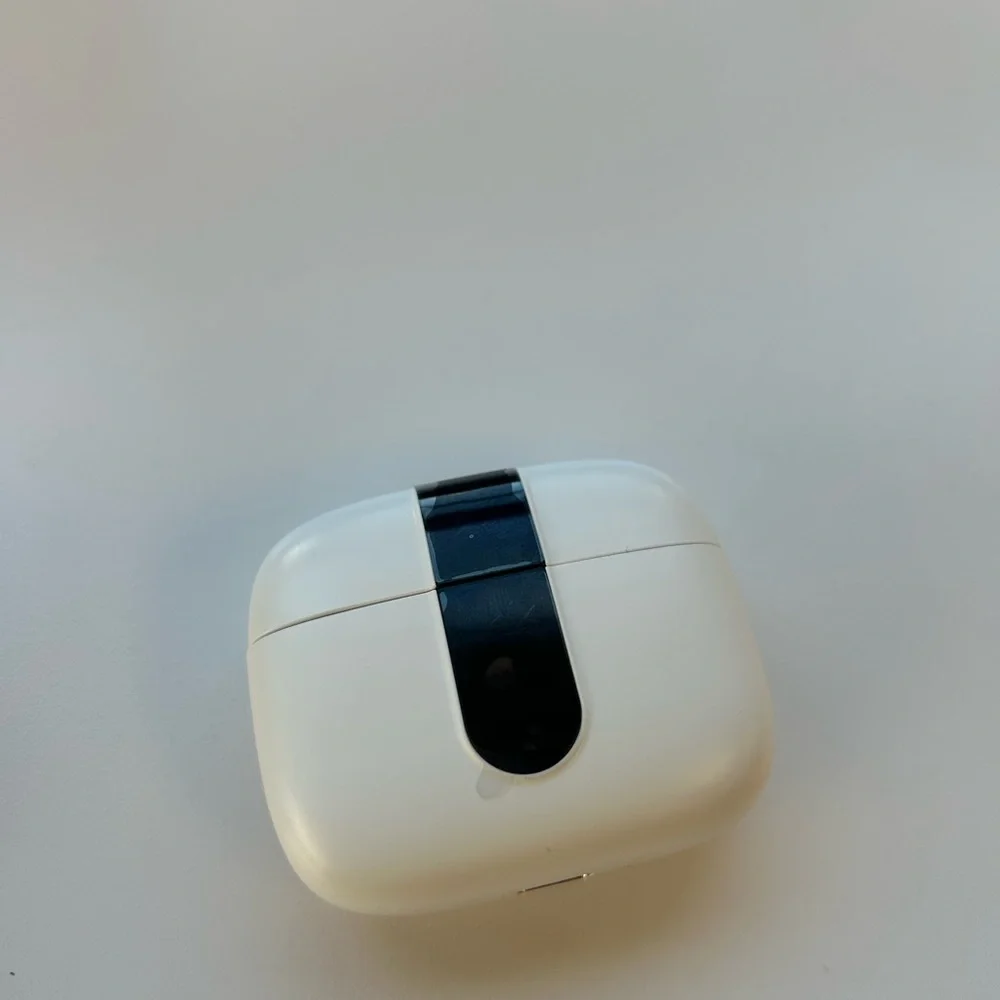 True Wireless Earbuds - Silver and White